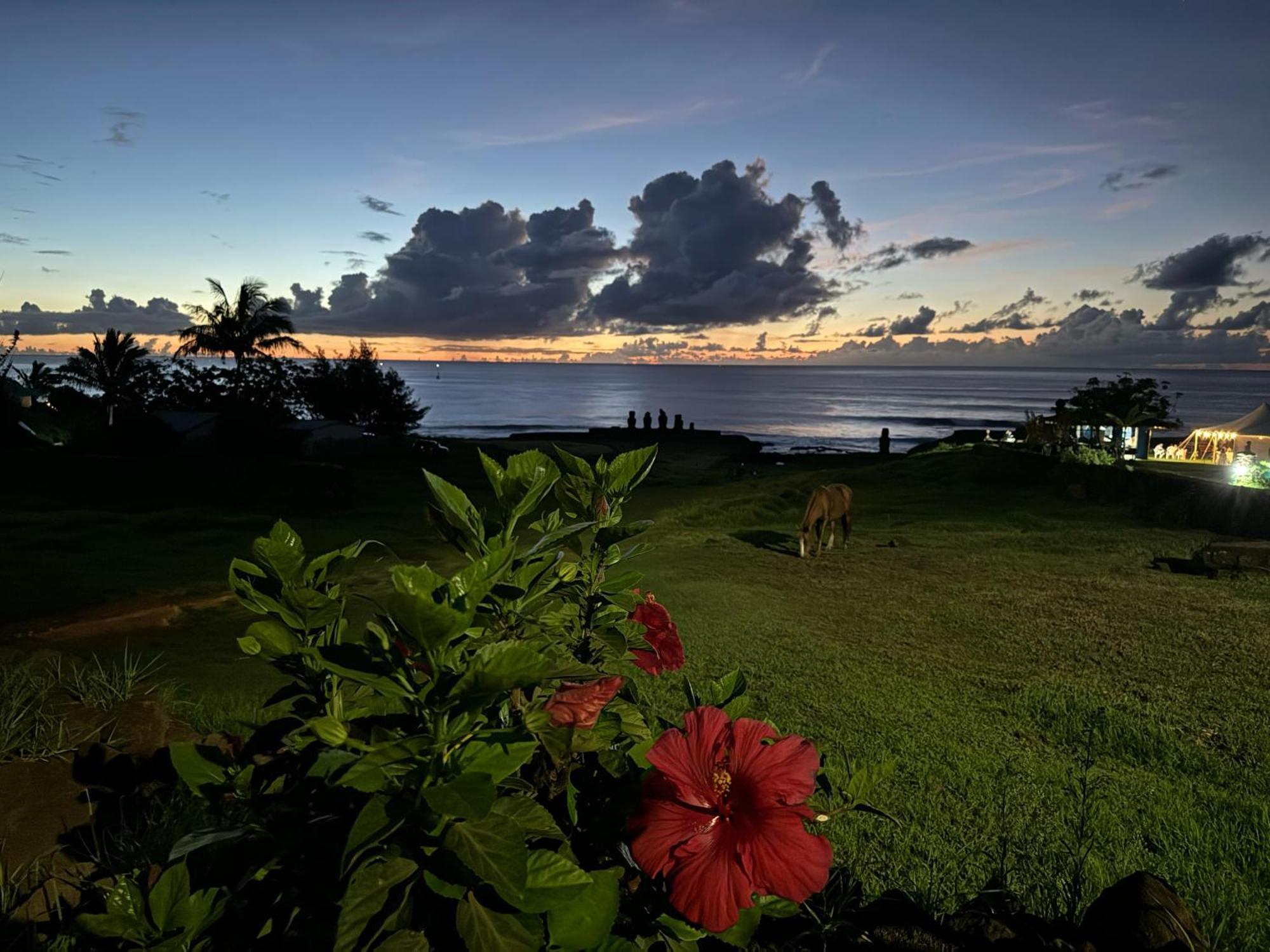 Cabanas Tangaroa Y Hamea Villa อังกาโรอา ภายนอก รูปภาพ